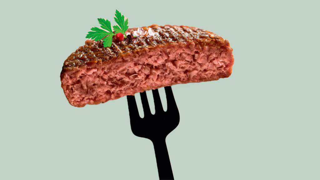 Steak vegan de la marque Accro